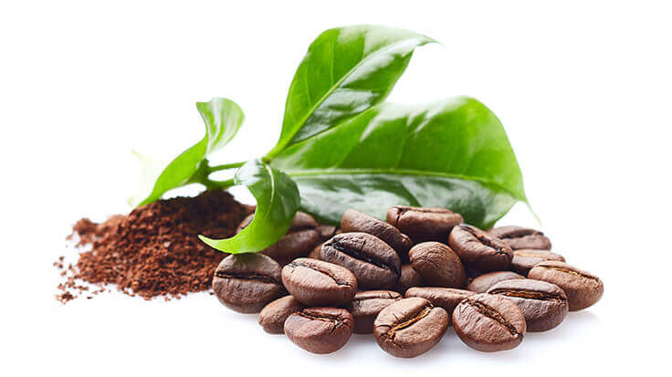Nachhaltige Kaffeebohnen bei Kaffeeschatz