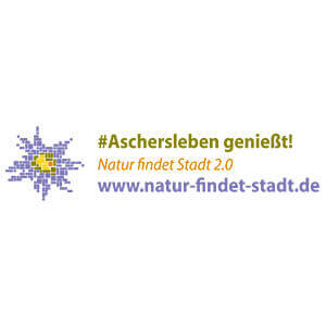 Aschersleben genießt